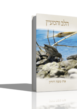 הלב והמעיין – הרב ארז משה דורון